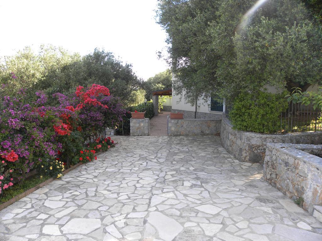 Seamoon Residence Marina di Camerota Zewnętrze zdjęcie